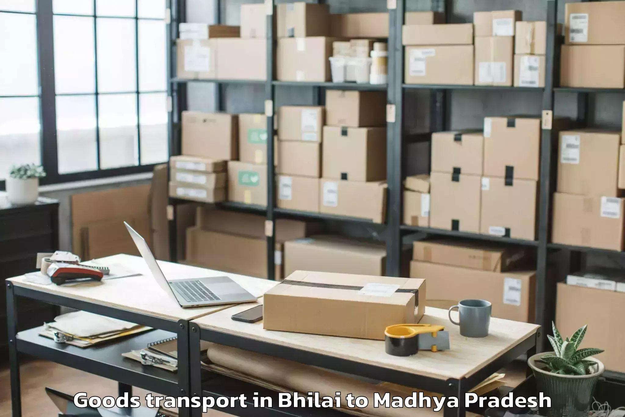 Reliable Bhilai to Mhow Goods Transport